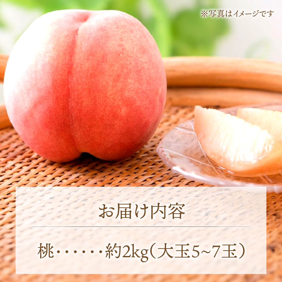ã2026幎çºéãå±±æ¢šã®æã©ãæ¡2kgã倧ç5çïœ7ç