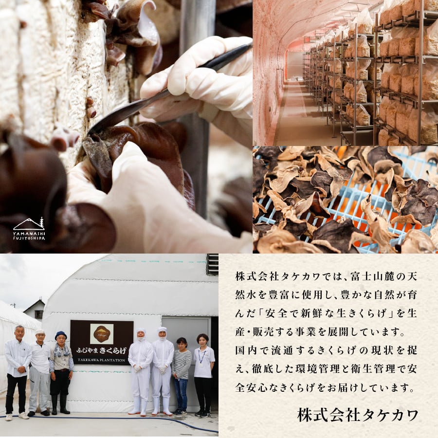 富士山の大自然が育てた「ふじやま きくらげ」(生きくらげ200g、乾燥きくらげ25g×2)
