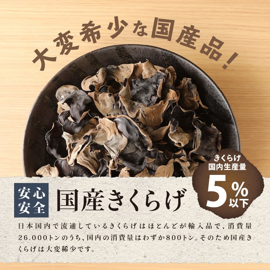 富士山の大自然が育てた「ふじやま きくらげ」(生きくらげ200g、乾燥きくらげ25g×2)