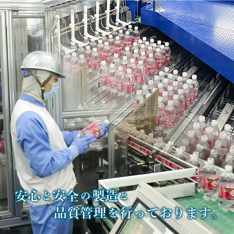 縲千く驟ク豌エ縲代え繧」繝ォ繧ュ繝ウ繧ス繝ウ縲繧ソ繝ウ繧オ繝ウ縲PET500mlテ2邂ア(48譛ャ蜈・繧)