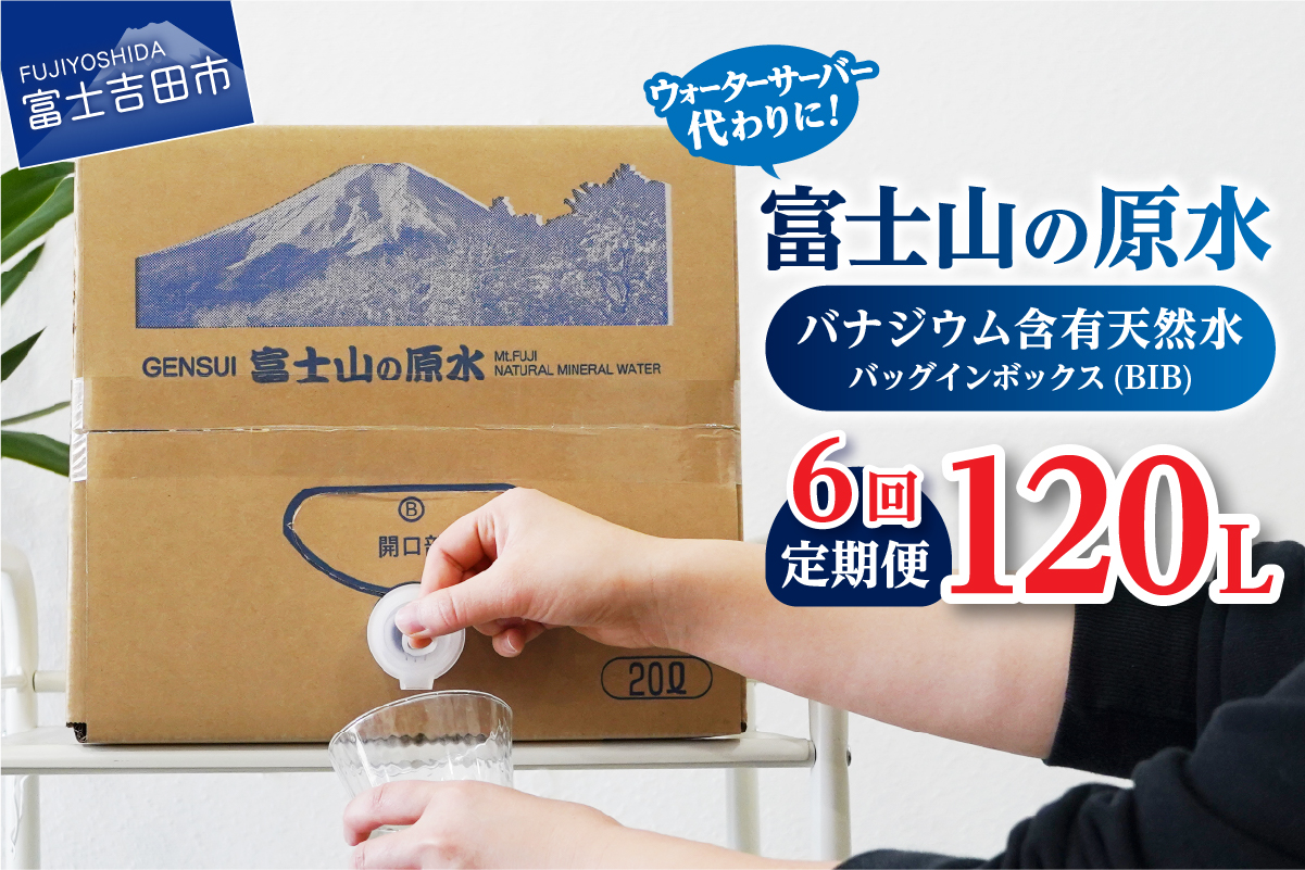 【6か月お届け】バナジウム天然水定期便 富士山の原水 20L BIB
