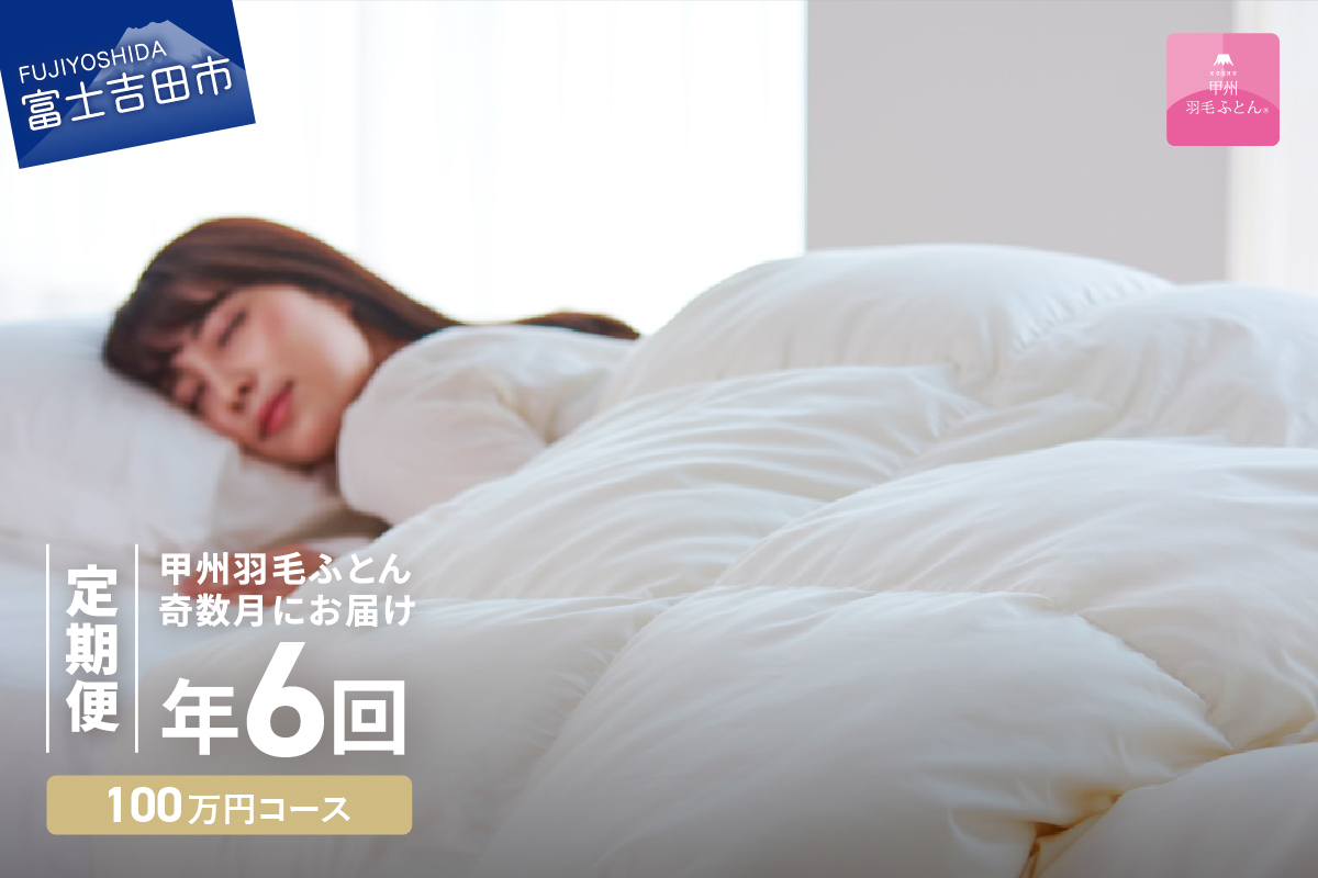 【甲州羽毛ふとん】定期便（年6回）プレミアムコース/シングル 羽毛布団