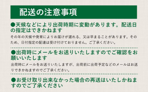 【2025年　先行予約】山梨県産　シャインマスカット1房（500g以上）