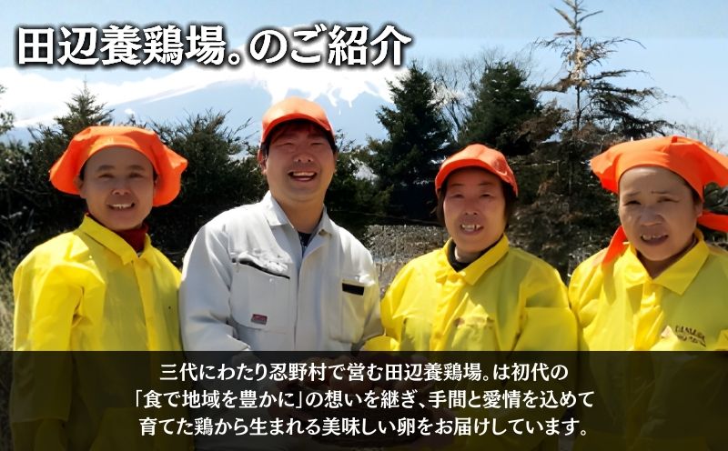 富士山の恵“忍野のたまご“‐うま味のピンク玉‐10㎏　　鶏卵　都留　忍野　新鮮　こだわり　名水　卵　たまご　玉子　タマゴ　大容量　お得　おしののたまご　濃厚　平飼い