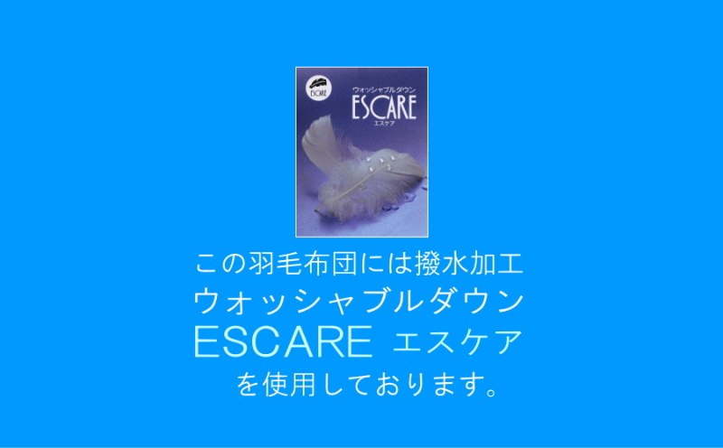【クィーン】洗濯機で洗える2枚合わせ羽毛ふとん(合い掛け+肌掛け) オールシーズン【新津】