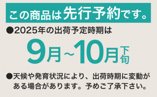 【2025年 先行予約】 山梨県産 シャインマスカット ２房 (1.2kg)