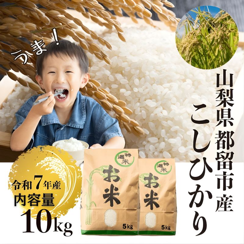 【令和７年産】山梨県産こしひかり[10kg] 米 お米  こしひかり コシヒカリ　