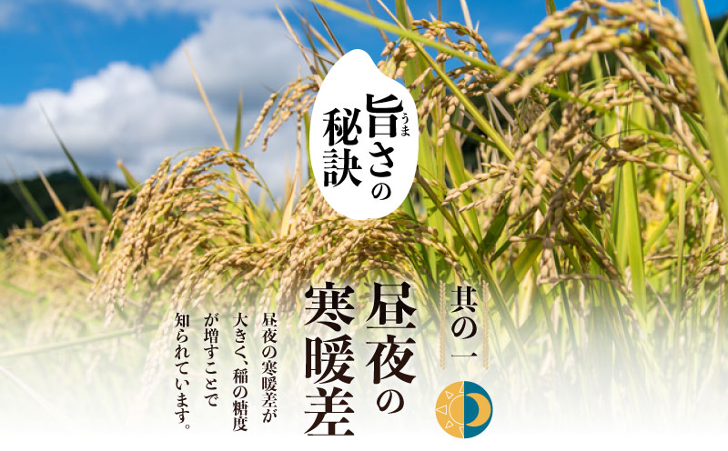 【令和７年産新米・予約】山梨県産こしひかり[10kg] 米 お米 新米 こしひかり コシヒカリ　新米 先行予約