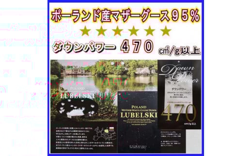 羽毛肌布団 ポーランド産マザーグース　95% ダブル　190×210cm　ダウンパワー470　羽毛　肌掛ふとん　ダウン　布団　ふとん　肌かけ　肌掛け