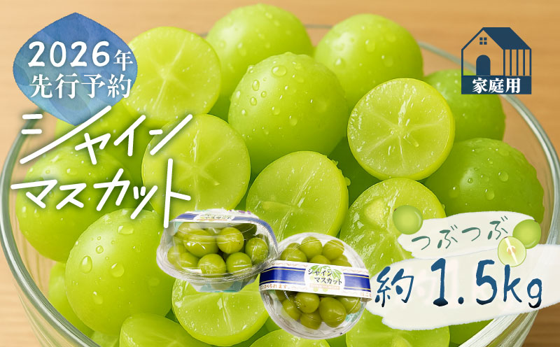 【2026年先行予約】ご家庭用つぶつぶ　シャインマスカット（約1.5kg）｜高糖度 種なし 甘い フルーツ 果物 葡萄 ブドウ ぶどう 産地直送 送料無料 山梨 都留市