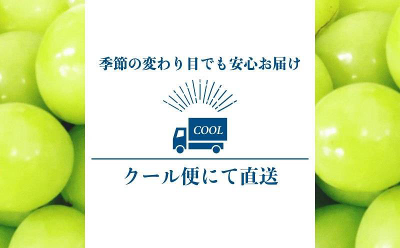 【2025年先行予約】【山梨県都留市ふるさと納税】クール便配送　山梨県産シャインマスカット1.2kg(2～3房)