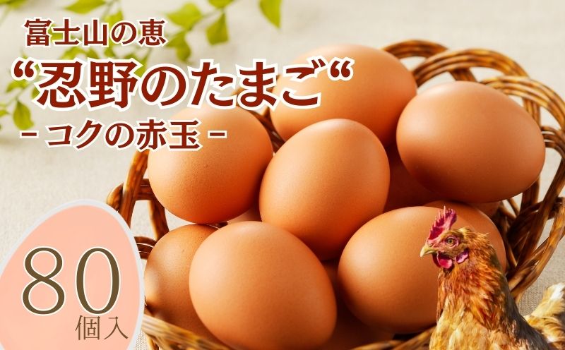 富士山の恵“忍野のたまご“‐コクの赤玉‐80個入　　鶏卵　都留　忍野　新鮮　こだわり　名水　卵　たまご　玉子　タマゴ　大容量　お得　おしののたまご　濃厚　平飼い