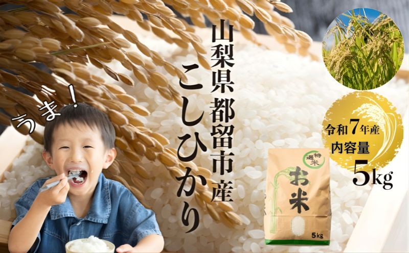 【令和７年産】山梨県都留市産こしひかり[5kg]　　　米 お米  こしひかり コシヒカリ　