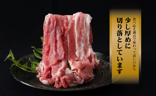 ＜定期便＞6回プラン 幻の銘柄豚 富士湧水ポーク 2か月毎に美味しいお肉が届く！ 切り落とし1.5kg+挽肉1.5kg*  |　豚肉　豚　ポーク　湧水ポーク　豚切り落とし　豚挽肉　豚ひき肉