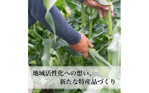 【2025年 先行予約】もぎたて発送！山梨県産 ヤングコーン 30本【栄養たっぷりヒゲ付き！】