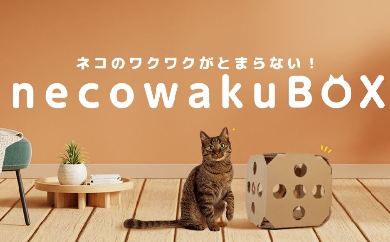 necowakuBOX|ネコワクボックス 猫 ねこ ネコ ペット ペット用品
