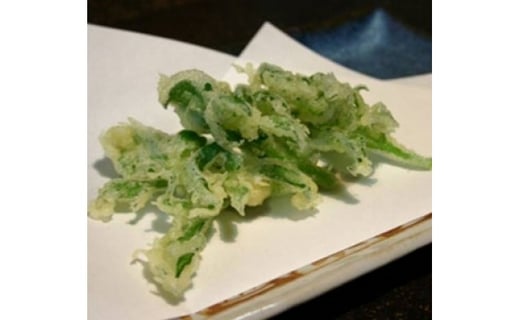 アイスプラント進化形 シャインリーフ（100g入り×5パック）