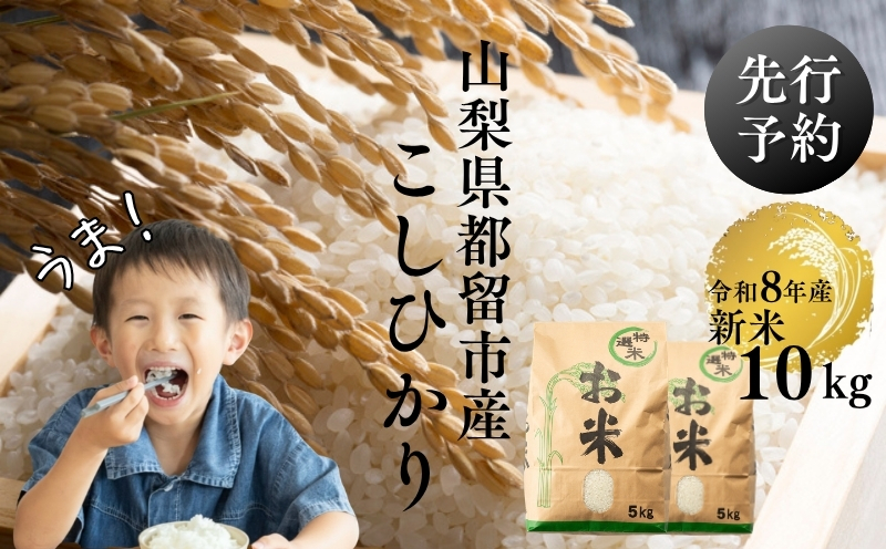 【令和8年産先行予約】山梨県産こしひかり[10kg] 米 お米  こしひかり コシヒカリ　