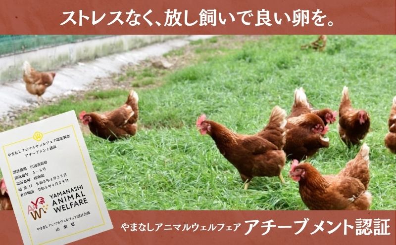 【定期便】忍野の平飼い放牧卵　12か月連続定期便（毎月30個×12か月　合計360個）||　　鶏卵　都留　忍野　新鮮　こだわり　名水　卵　たまご　玉子　タマゴ　大容量　お得　おしののたまご　濃厚　平飼い