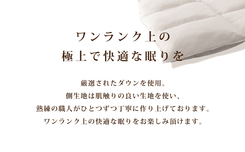 【数量限定・訳あり】【合掛け布団】羽毛合掛け布団　ホワイトダウン８５％使用（ダブル：１９０ｃｍｘ２１０ｃｍ）【サンモト】｜色柄お任せ ワケあり 羽毛布団 掛け布団 訳アリ 羽毛ふとん 緊急支援 合掛けふとん