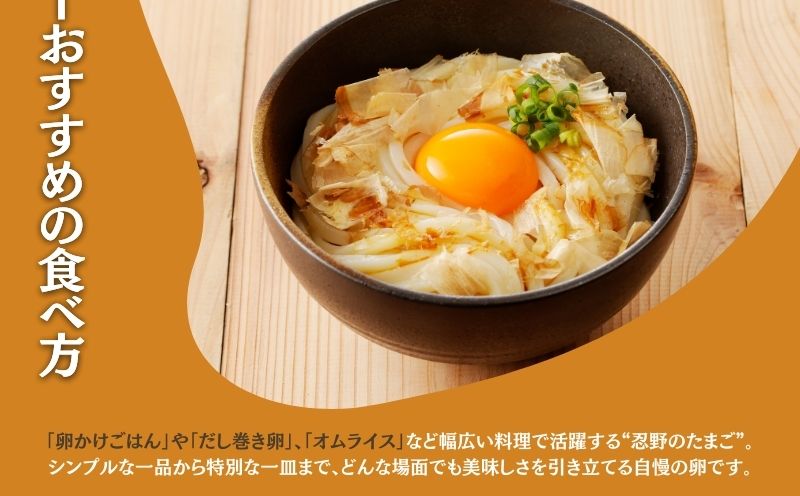 富士山の恵“忍野のたまご“‐うま味のピンク玉‐30個入　　鶏卵　都留　忍野　新鮮　こだわり　名水　卵　たまご　玉子　タマゴ　大容量　お得　おしののたまご　濃厚　平飼い