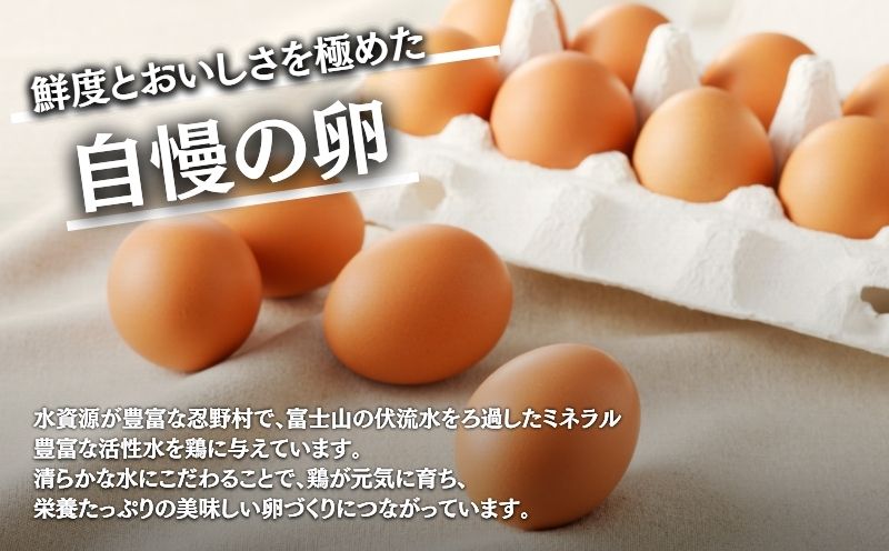 【定期便】忍野の平飼い放牧卵　12か月連続定期便（毎月30個×12か月　合計360個）||　　鶏卵　都留　忍野　新鮮　こだわり　名水　卵　たまご　玉子　タマゴ　大容量　お得　おしののたまご　濃厚　平飼い