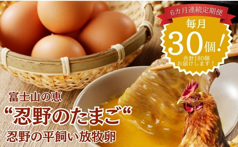[定期便]忍野の平飼い放牧卵 6か月連続定期便(毎月30個×6か月 合計180個)|鶏卵 都留 忍野 新鮮 こだわり 名水 卵 たまご 玉子 タマゴ 大容量 お得 おしののたまご 濃厚 平飼い
