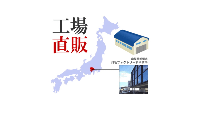 【クィーン】洗濯機で洗える2枚合わせ羽毛ふとん(合い掛け+肌掛け) オールシーズン【新津】