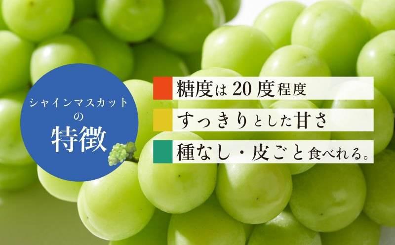 【2025年先行予約】【山梨県都留市ふるさと納税】クール便配送　山梨県産シャインマスカット1.2kg(2～3房)