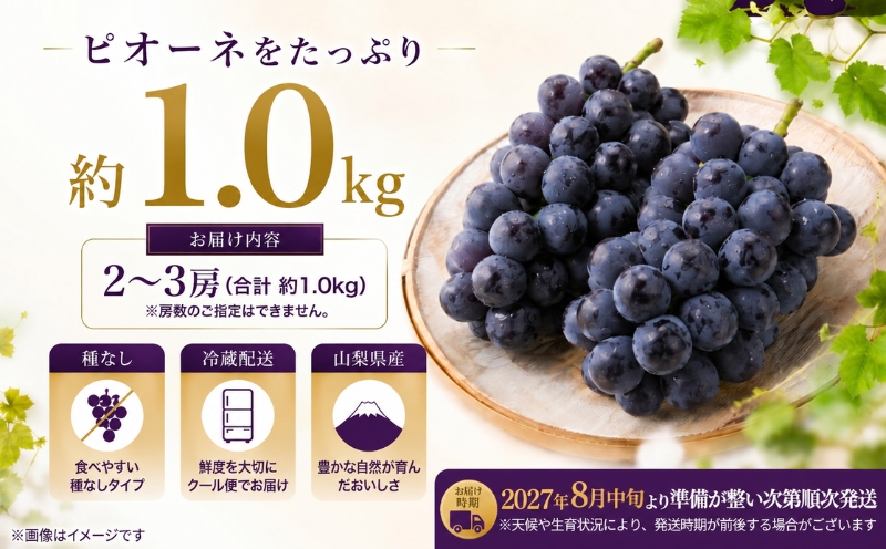 ã2027幎 å
è¡äºçŽã山梚çç£ãçš®ãªãããªãŒã2ïœ3æ¿(çŽ1.0KgïŒãã¢ãºãŒã«ã€ãŒãã| 2ïœ3æ¿ å±±æ¢š ããŸãªã è¡è ãã㊠ãã«ãŒã æç© ãã ãã® ã¶ã©ã ãã¶ãŒã ã¹ã€ãŒã é»è¡è é»ãã㊠é»ã¶ã©ã æ¿å