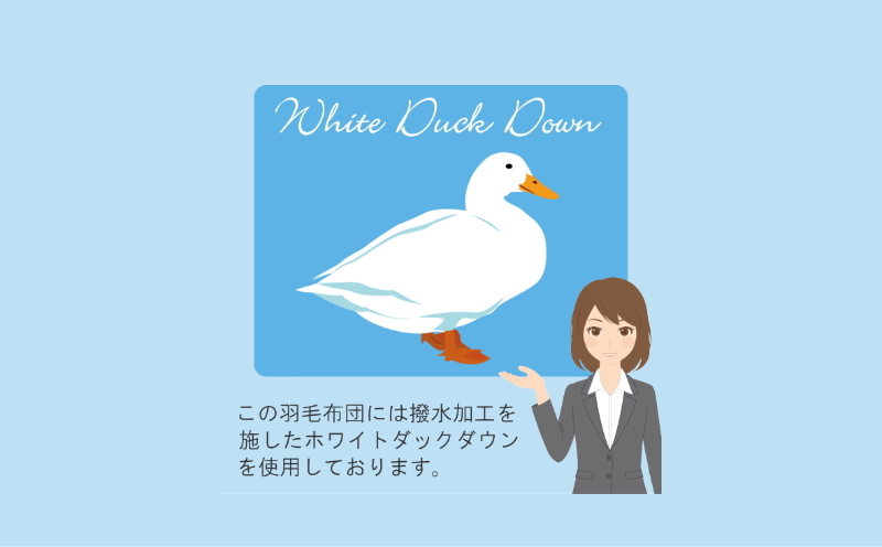 【クィーン】洗濯機で洗える2枚合わせ羽毛ふとん(合い掛け+肌掛け) オールシーズン【新津】