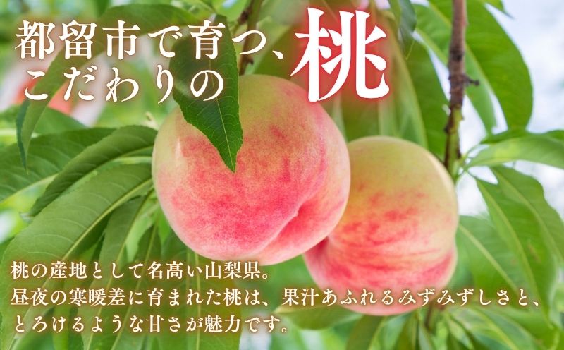 ã2027幎 å
è¡äºçŽã 山梚çéœçåžç£ãææ¡ãæ¡ çŽ1.5kg 以äž(ïŒïœïŒçïŒ