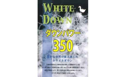 羽毛ふとん（抗ウイルス・抗菌加工）　シングル　ホワイトダウン８５％