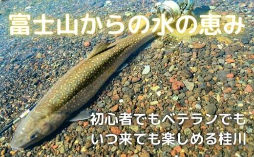 ã什å8幎床ãéœçæŒæ¥ååçµå幎ééæŒèšŒïŒå
šéçš®ïŒïœæ¡å· ãã£ãã·ã³ã° æžæµé£ã ã¢ã³ã°ã©ãŒ ã¹ãŒããŒã¬ã€ã³ã㌠ãã¹é£ã ã€ãã¡é£ã ã€ã¯ãé£ãã山梚ãã€ããé£ãåžãéæŒåž