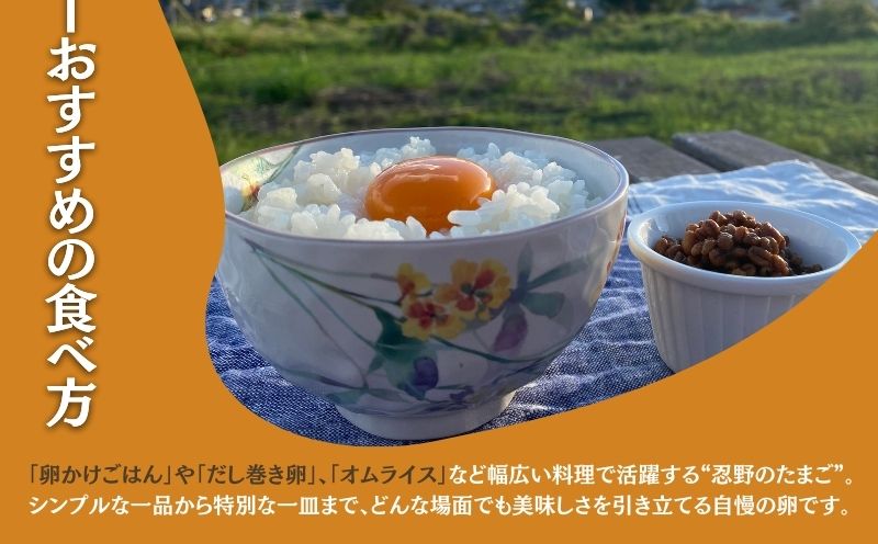 【定期便】忍野の平飼い放牧卵　6か月連続定期便（毎月30個×6か月　合計180個）||　　鶏卵　都留　忍野　新鮮　こだわり　名水　卵　たまご　玉子　タマゴ　大容量　お得　おしののたまご　濃厚　平飼い