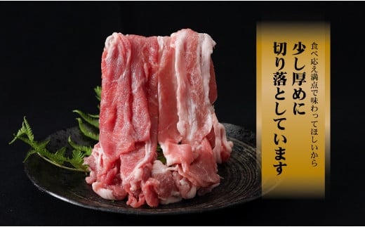 訳あり！【幻の銘柄豚】富士湧水ポーク 切り落とし と 挽肉 のガッツリ盛りセット 4kg　豚肉　切り落とし　ひき肉　挽肉　国産豚　小分け　炒め物　不揃い　訳アリ　わけあり