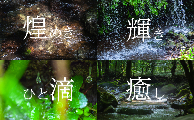 淡水パール&0.08ct ダイヤモンドネックレス（RP-MN-0187）【リズプラス】｜ ダイヤ ダイヤモンド パール 真珠 プラチナ ネックレス ペンダント ジュエリー アクセサリー ギフト プレゼント 鑑別書付 保証書付