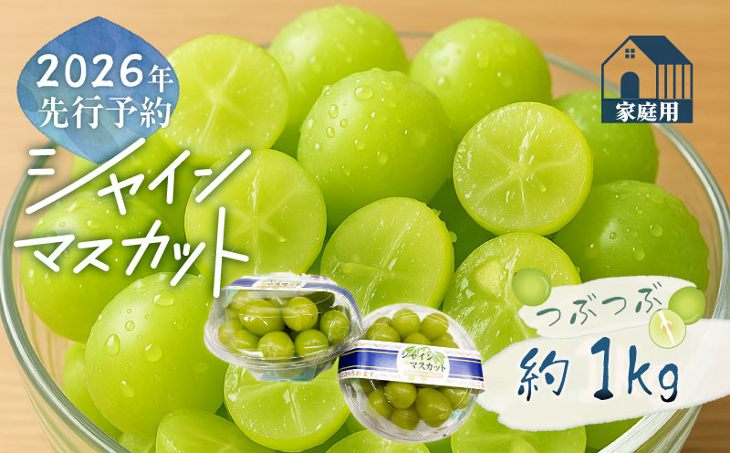 【2026年先行予約】ご家庭用つぶつぶ　シャインマスカット（約1.0kg）｜高糖度 種なし 甘い フルーツ 果物 葡萄 ブドウ ぶどう 産地直送 送料無料 山梨 都留市