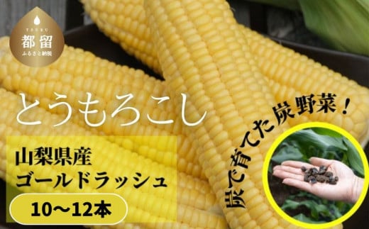 【2025年 先行予約】山梨県都留市産 ゴールドラッシュ 10～12本