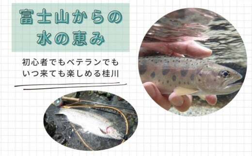 ã什å8幎床ãéœçæŒæ¥ååçµå幎ééæŒèšŒïŒå
šéçš®ïŒïœæ¡å· ãã£ãã·ã³ã° æžæµé£ã ã¢ã³ã°ã©ãŒ ã¹ãŒããŒã¬ã€ã³ã㌠ãã¹é£ã ã€ãã¡é£ã ã€ã¯ãé£ãã山梚ãã€ããé£ãåžãéæŒåž