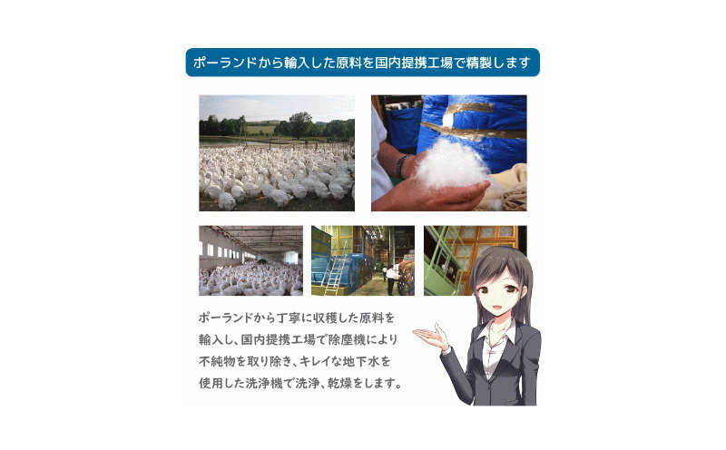 ããã¬ãã¢ã ãŽãŒã«ãã©ãã«ãã³ãŠãçš®ããŒã©ã³ããã¶ãŒã°ãŒã¹95%矜æ¯èæããã¯ã£ãŒã³ããæ°æŽ¥ã