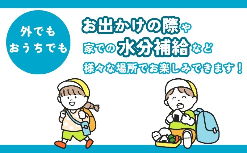 山梨　道志村の天然水　doshiwater(10ℓ×2箱×2セット)【12回定期】｜災害備蓄　災害　長期保存　ミネラルウォーター　天然水　水　防災