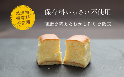 【ギフト用】半熟ショコラ1箱（10個入り）【ならや】｜チーズケーキ チョコレートケーキ 半熟 ショコラ 贈答用 プレゼント ギフト naraya