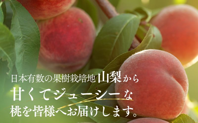 【2025年　先行予約】山梨県産　桃約２㎏（6～8玉）