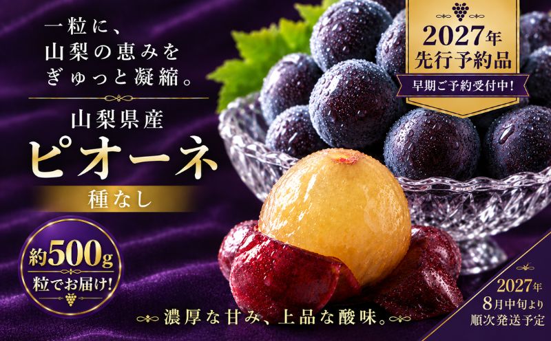 【2027年先行予約】山梨県産 種なしピオーネ 粒 約500g