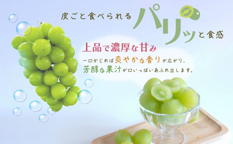 【2026年先行予約】ご家庭用つぶつぶ　シャインマスカット（約1.0kg）｜高糖度 種なし 甘い フルーツ 果物 葡萄 ブドウ ぶどう 産地直送 送料無料 山梨 都留市