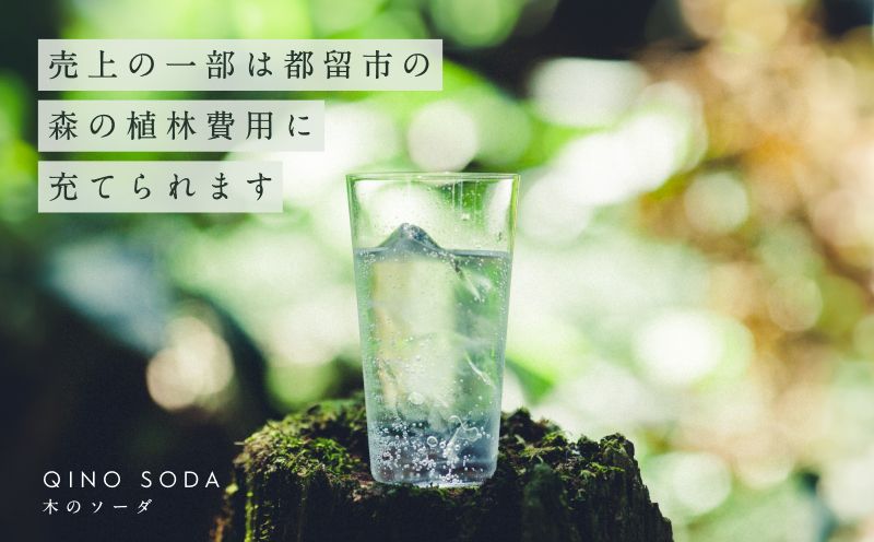 QINO SODA 杉 - 富士山麓 -