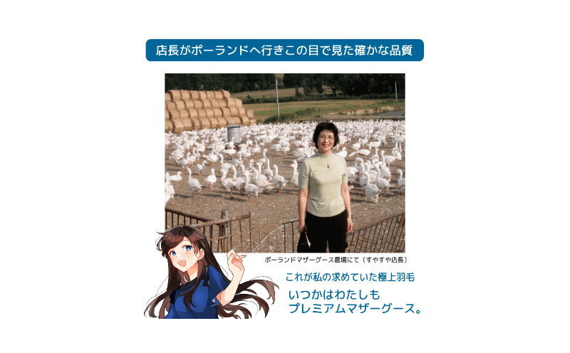 ããã¬ãã¢ã ãŽãŒã«ãã©ãã«ãã³ãŠãçš®ããŒã©ã³ããã¶ãŒã°ãŒã¹95%矜æ¯èæããã¯ã£ãŒã³ããæ°æŽ¥ã