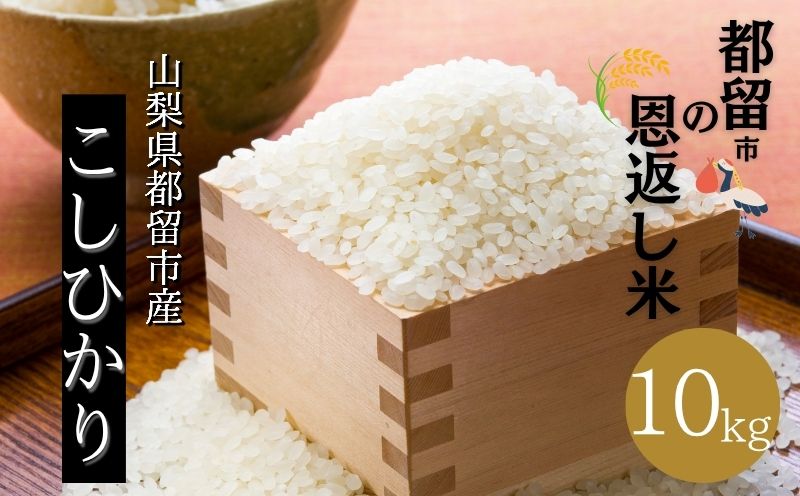 【令和７年産】山梨県都留市産こしひかり　都留市の恩返し米「都留市の恩返し米」10㎏（5㎏×２）｜こめ　米　新米　都留　山梨　コシヒカリ