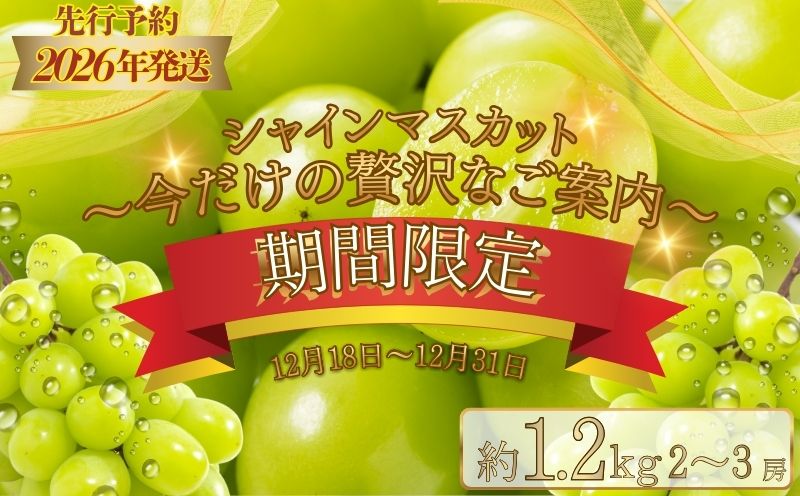 【期間限定】【数量限定】 シャインマスカット スペシャルサンクス約1.2kg（2～3房）【2026年先行予約】